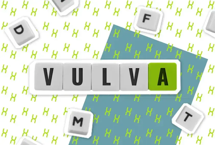 Illustration: Wort &sbquo;Vulva&lsquo; als Tastatur-Kacheln