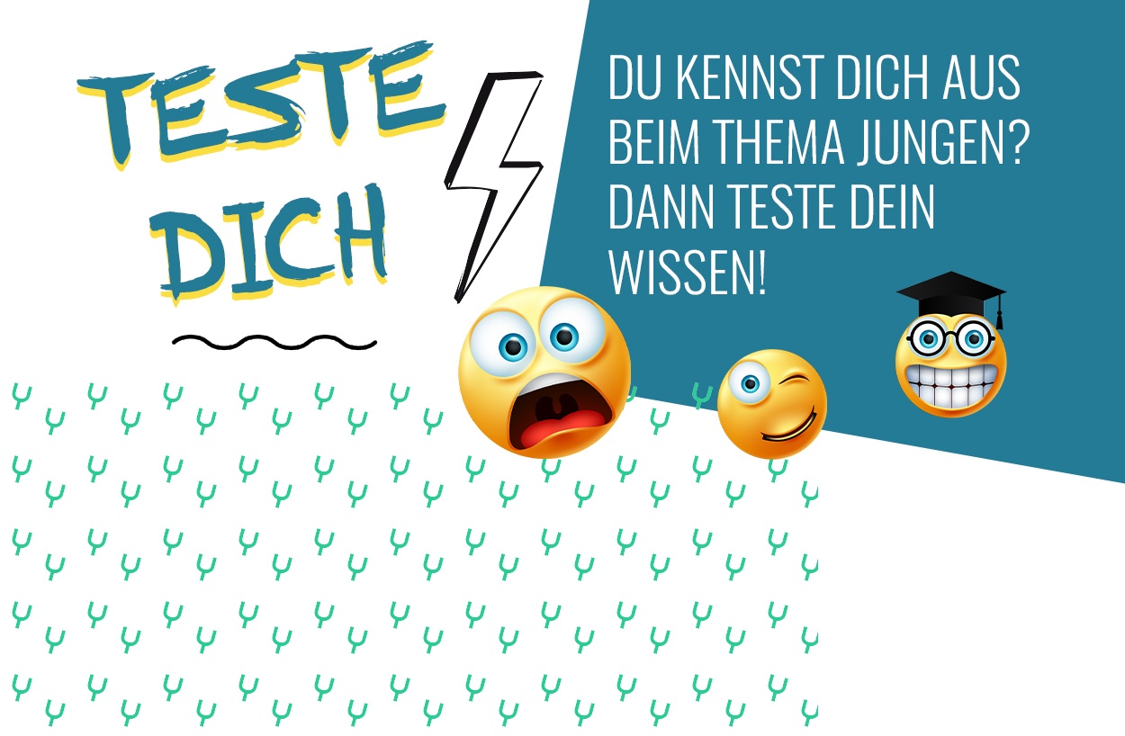 Bild mit Schriftzug Teste Dich 