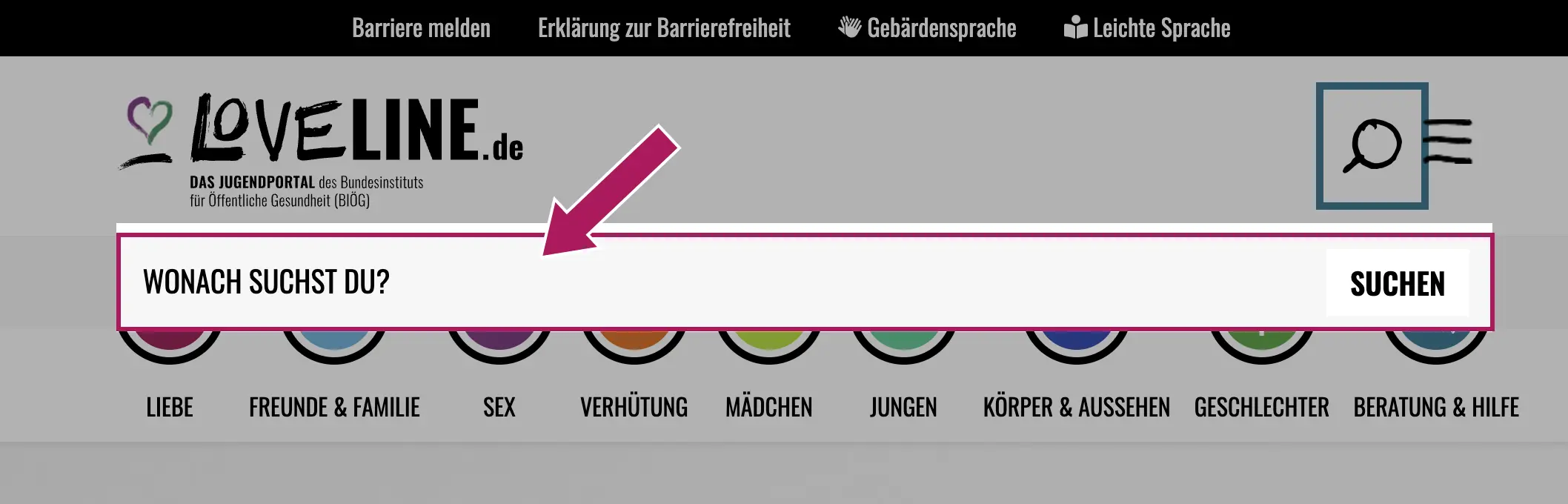 Screenshot der Suchwortleiste