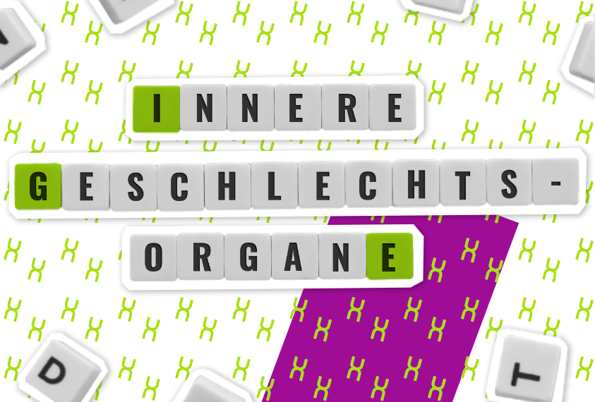 Infotext Innere Geschlechtsorgane