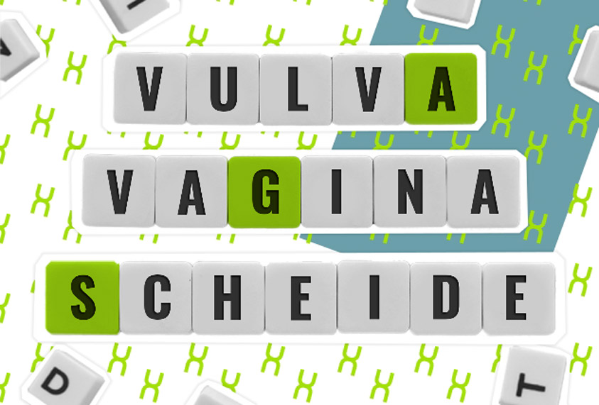 Infotext Vulva, Vagina, Scheide
