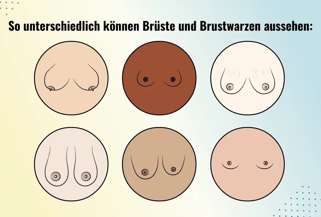 So unterschiedlich k&ouml;nnen Br&uuml;ste und Brustwarzen aussehen &ndash; Sechs stilisierte Darstellungen von Br&uuml;sten und Brustwarzen.