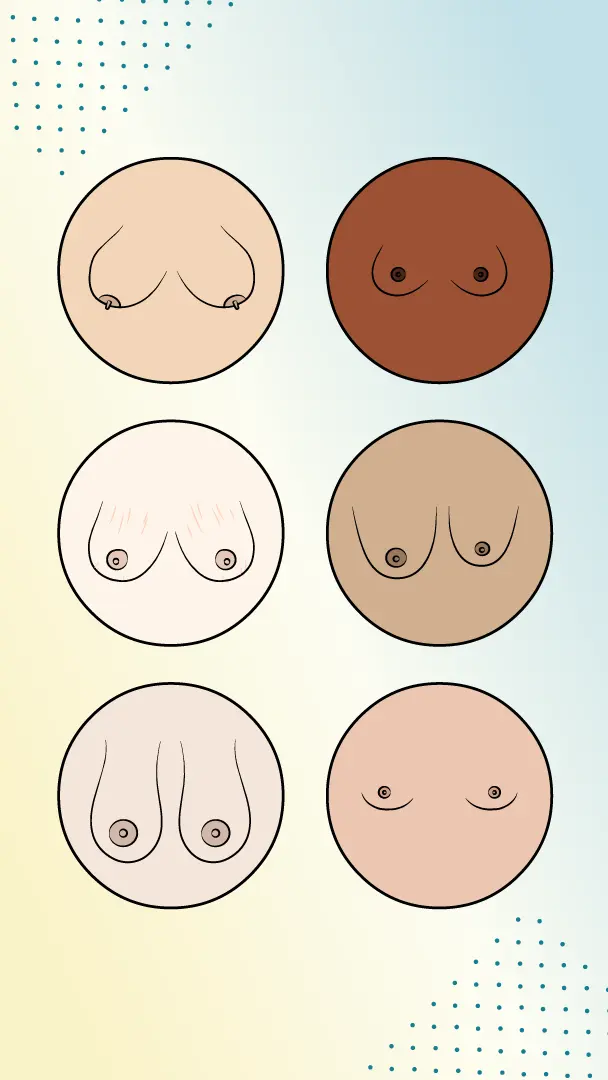 Illustration mit verschiedenen, unterschiedlich aussehenden Br&uuml;sten. 